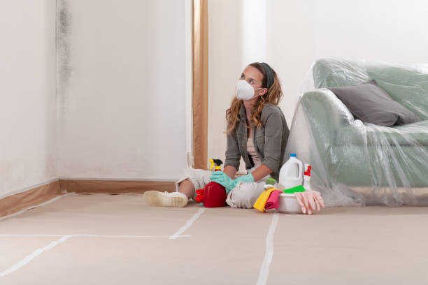 Reliable Black Mold Remediation contractor in Westfield, MA by Car Mold Remediation